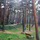 청산사슴농원 이미지