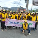 차일로 Daum카페