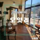 오얏리커피 이미지
