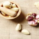 영&푸드 이미지