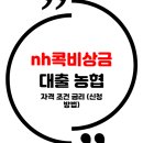 nh<b>콕</b>비상금<b>대출</b> 상품정리 조건 금리 신청방법 (농협 모바일)