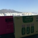 쓰리데이즈 | 단기다이어트 시작템, GRN 쓰리데이즈 집중 관리 후기