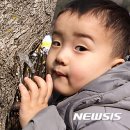 미산1리고로쇠마을 이미지