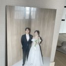 시노안 | [W5-4.] 포항 스튜디오시노 최종 후기