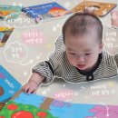 별이와콩이 | 아기별그림책 리뉴얼 후기 5개월 46개월 잘 보는 유아전집