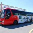 종합버스터미널 건너편 이미지