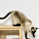 카페인시작 이미지