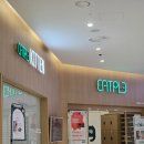 캣플 동탄점 | 동탄 고양이카페 캣플 라크몽 아이랑 1시간 체험 후기