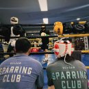 전일복싱클럽(진월관) 이미지