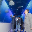 화진포해양박물관 투어코리아