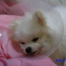 도희동물병원 이미지