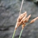 제주하늘지기 이미지