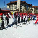 영월스키 이미지