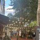 수복삼계탕 둔산점 | 대전 : 둔산동 시청역 근처 최애 삼계탕 수복 삼계탕