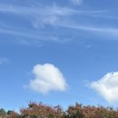 월영동175 이미지