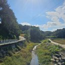 부리면사무소 앞 이미지