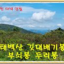 구마일주통나무산장 이미지