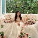 강추 | 가성비 플라워디렉팅 라이크유플라워 동행 강추후기