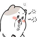 꼬꼬 호프 마을 이미지