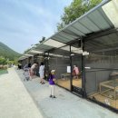 드림한우농장 이미지