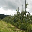 지성농장 이미지