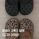 발레 ABC 그리고 피터와 늑대 | [윤승아 크록스 발레] 드디어 구매! 크록스 발레 사이즈팁부터 블랙·레오파드 후기까지