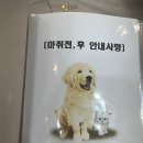 동물병원 더 메이 이미지