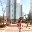 제일경희태권도 이미지
