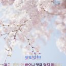 서민회도매 이미지