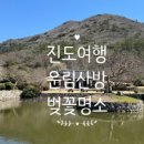 진도분식 이미지