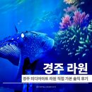 도시숲미디어 | 경주 미디어아트 라원 입장료 할인 꿀팁 경주 실내 놀거리 아이랑 다녀온 후기