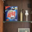 주식회사 제주현대렌트카 | 제주렌트카 가족 여행자를 위한 제주도 가성비 차량 추천 TOP 5