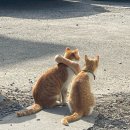 모모문구사 | Hello Jeju-2편