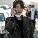 판도라의 숲 이미지