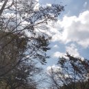 산이보건지소 이미지