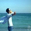 자유 - 남구 남중로74번길 18 | 자유