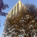 중구청사 부설주차장 | 정동전망대 시간 🍁 덕수궁을 한눈에 내려다볼 수 있는 서울 여행지 추천