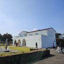 송이목장 | 제주 서귀포카페 목장카페 밭디 승마체험 송이밭 코스 추천 후기