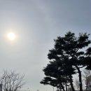 울산산꼼장어 이미지