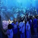 오르다태권도장 이미지