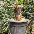 오르농장 이미지