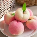 몸에 좋은 과일의 특징 이미지