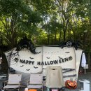 평암189 야영장 | 부곡 허브농원 캠핑장 - 할로윈 캠핑