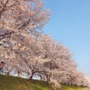하방천변길 이미지