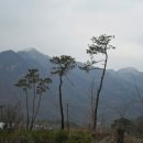삼거휴게소 이미지