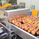 보은군 과수거점산지유통센터 이미지