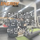 안동헬스 | [김해안동헬스 / 김해안동PT] 허리 통증, 등운동 부족 때문일 수도 있다?!