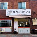 돼지연구소 이미지
