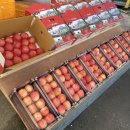 문경식농장 | [문경] 추석선물세트로 좋은 주흘산 농장의 사과박스 내돈내산 후기