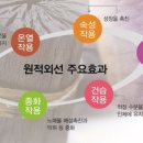 안락점핑운동